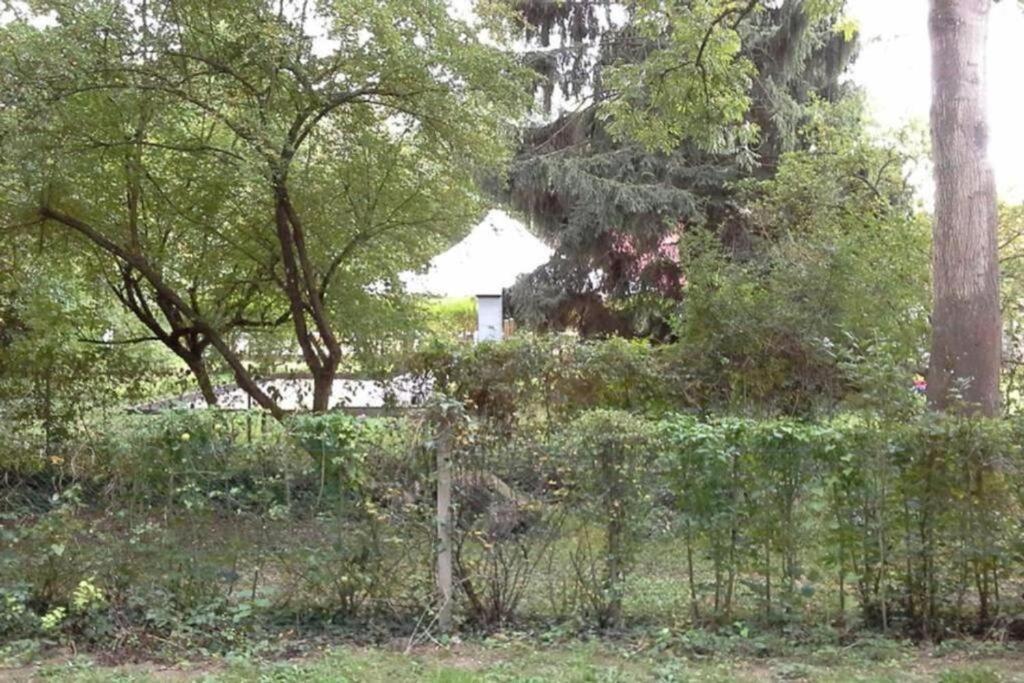 La Cabane Du Pecheur A 10Min De Disneyland Paris - Cabane & Cabanon Chalifert Εξωτερικό φωτογραφία